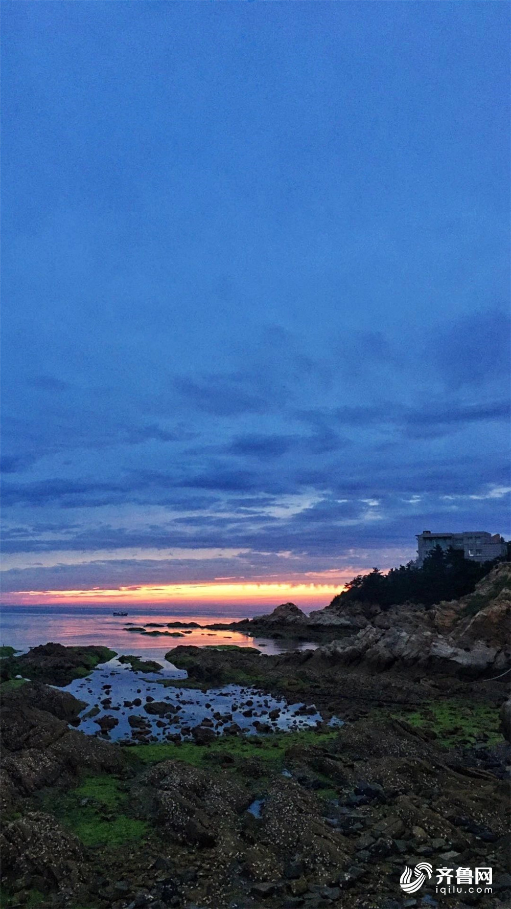 海面洒"金"!雨后的威海美景让人舒适又惬意