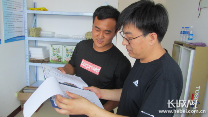 驿站 赵庆旺 鸡蛋 贫困户 养鸡场 长城网 郭庆敏 高洪臣 总站 父亲|一枚鸡蛋的“扶贫路径”