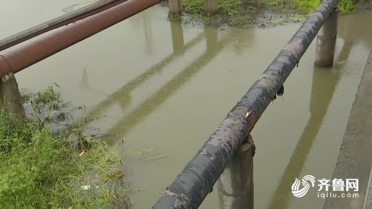 水体 管网 菏泽市 污水 市长 雨水 陈平 丁建平 菏泽 新闻记者|问政追踪丨11处黑臭水体治理慢 菏泽市长这样回复