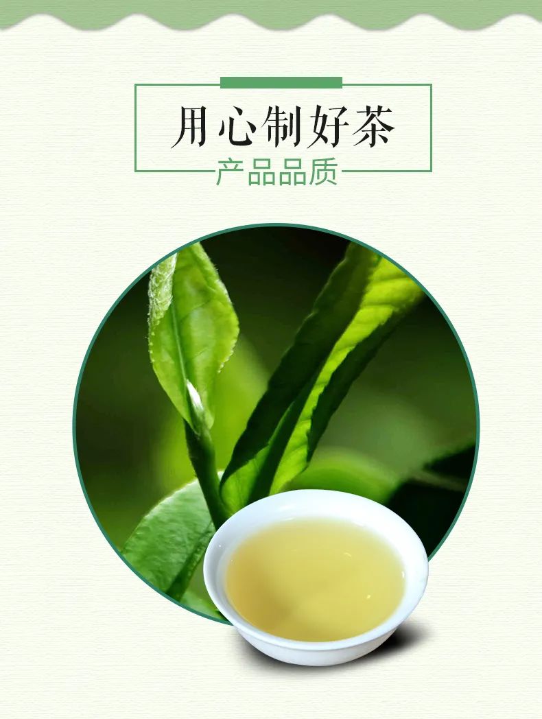 来自观音菩萨的道场——普陀山佛茶,好茶好缘起!