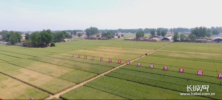 园区 农业科技 农业 河北省 科技 河北 经费 长城网 国家 赵学军|最高200万元经费补助 河北加快农业科技园区提档升级