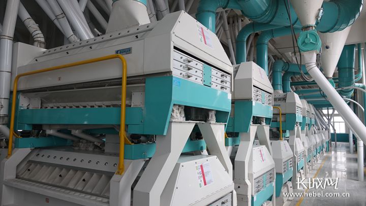 辣椒 农业 小麦 龙头企业 现代农业 粮食 食品 挂面 面粉 夏粮|现代农业 结构调整迈出新步伐