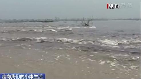 山东黄河滩区:农民画里的新生活(最新发布)