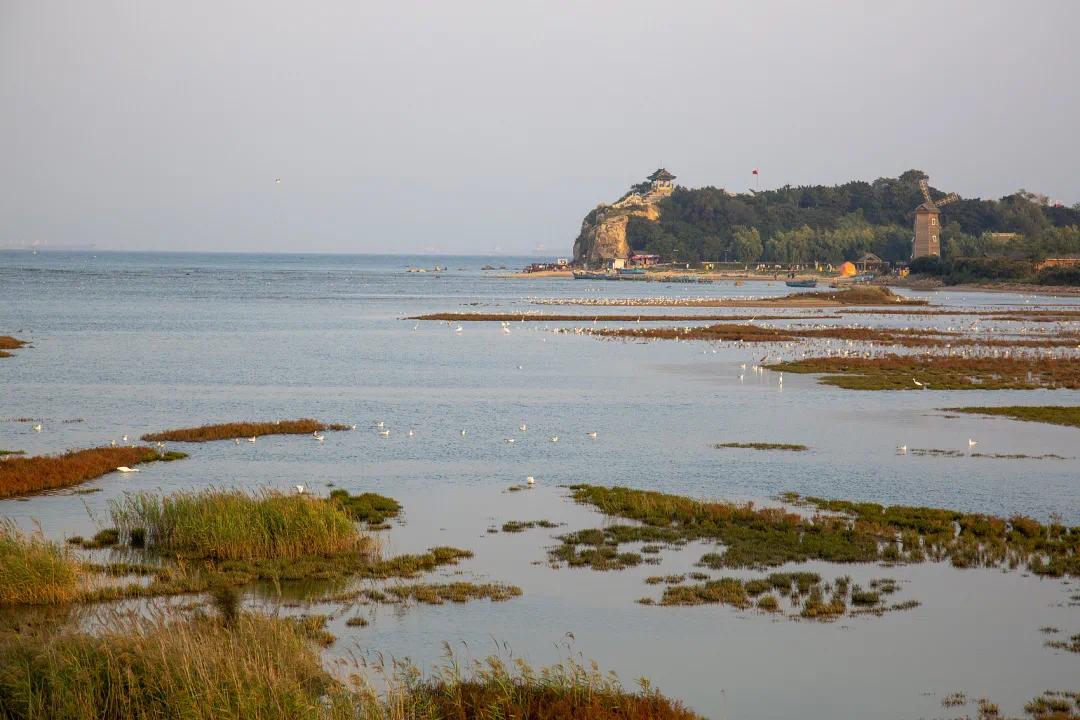 从北国风光到热带景观，这条铁路线怎么这么美？