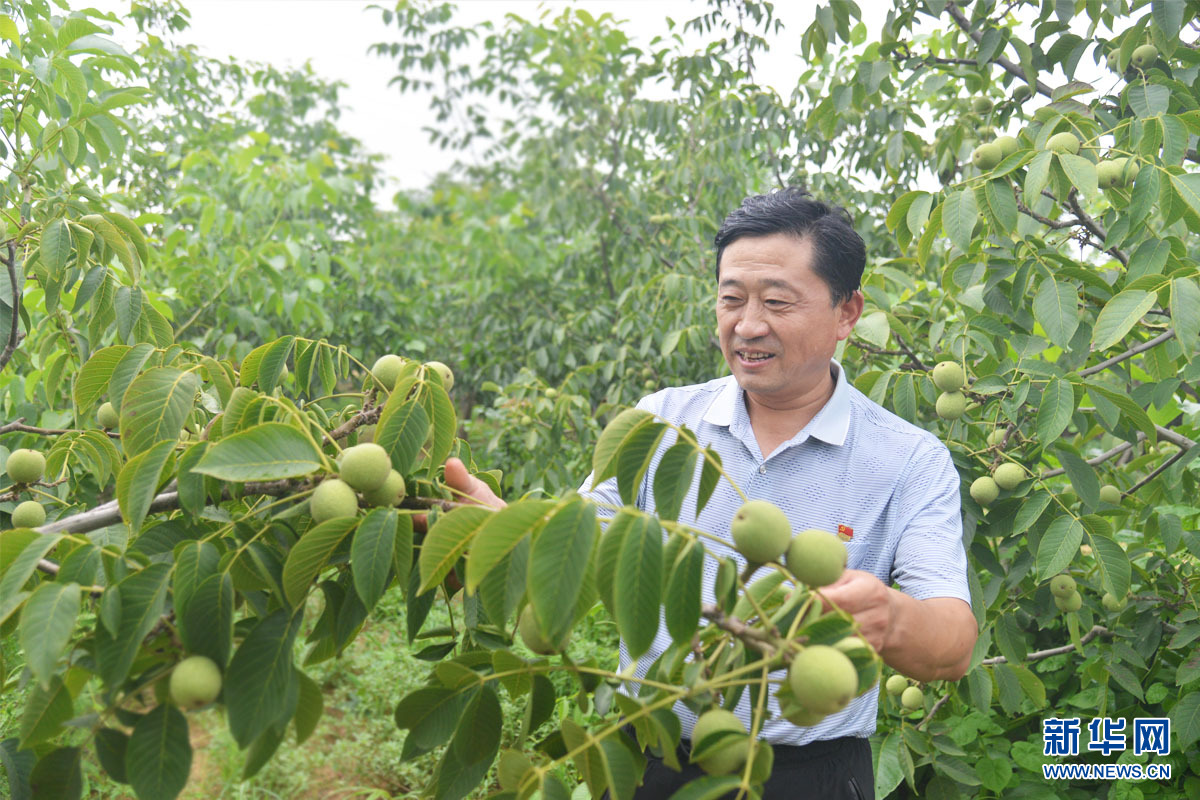 一路有你 夏清元 西柏山村 知心人 农业 百姓 进村 村里|【一路有你】进村！做百姓的“知心人”