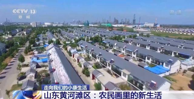 山东黄河滩区:农民画里的新生活(最新发布)