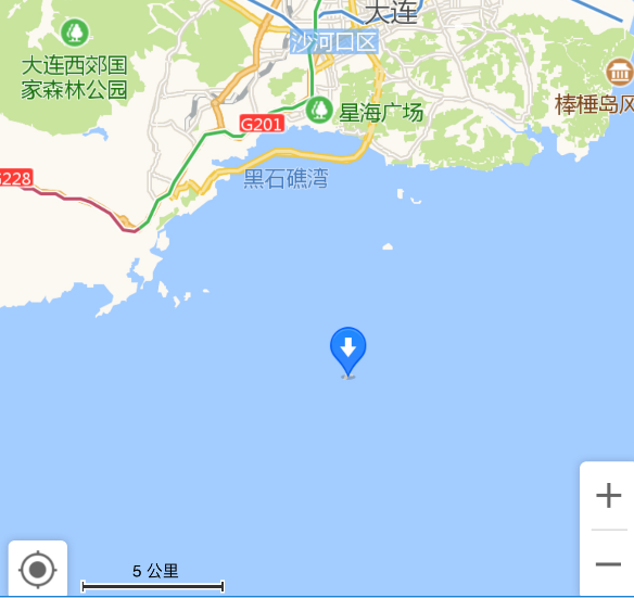 罕见！辽宁海域惊现成群大型海兽