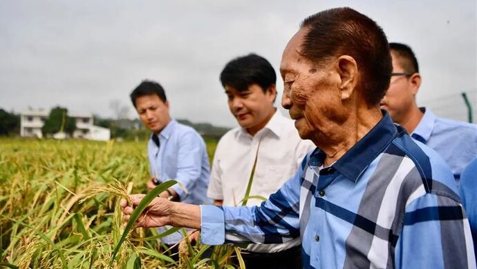 袁隆平:我带研究生有一个要求,不下田就不带