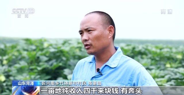 山东黄河滩区:农民画里的新生活(最新发布)