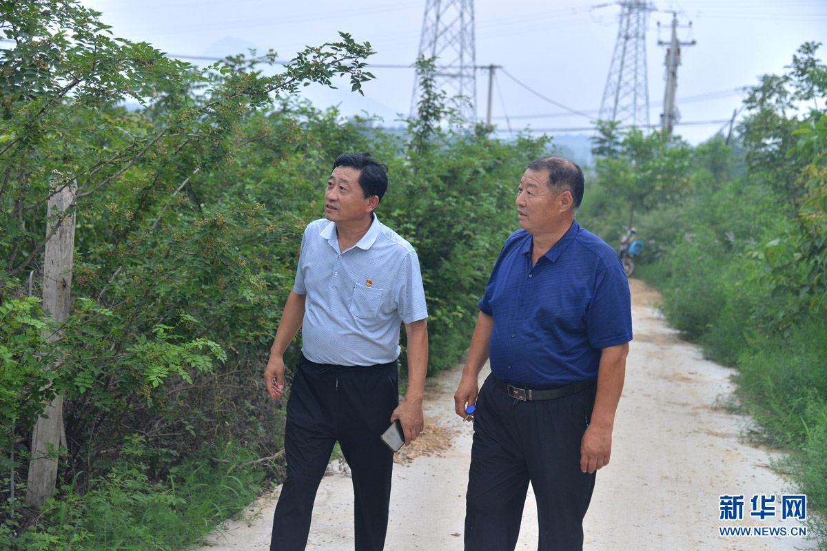 一路有你 夏清元 西柏山村 知心人 农业 百姓 进村 村里|【一路有你】进村！做百姓的“知心人”