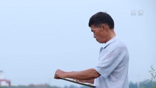 山东黄河滩区:农民画里的新生活(最新发布)