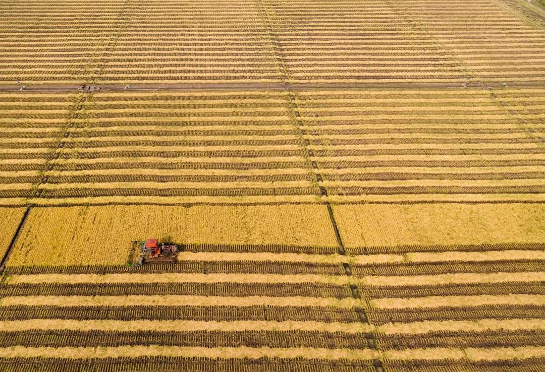 从北国风光到热带景观，这条铁路线怎么这么美？