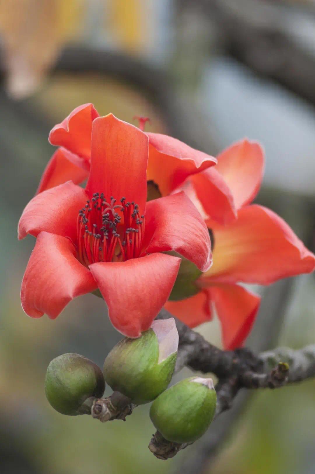 从北国风光到热带景观，这条铁路线怎么这么美？