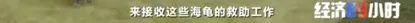 贿赂安检、非法收购，涉案金额达400万！