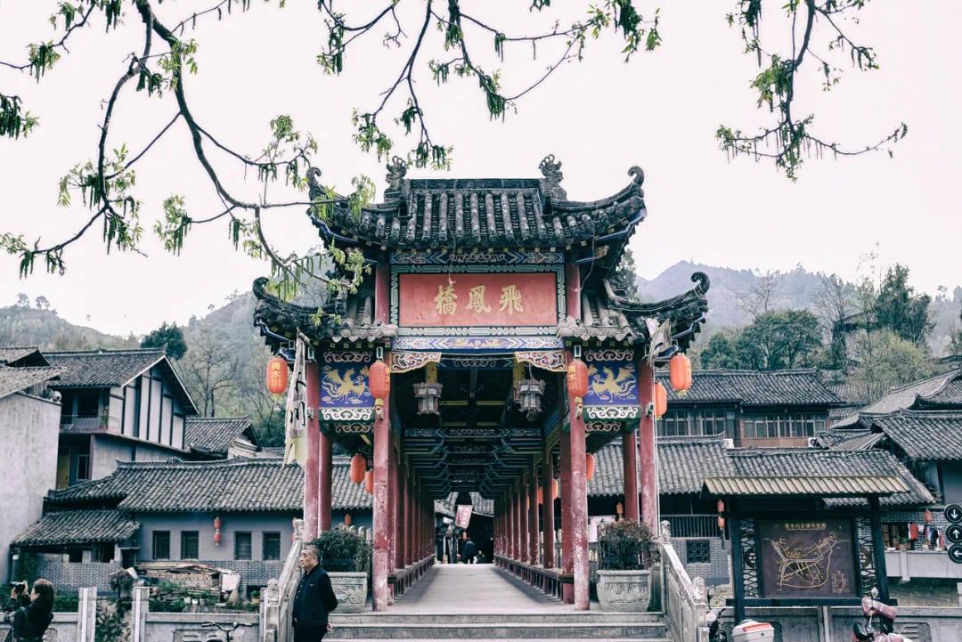 馆藏与文物陈列