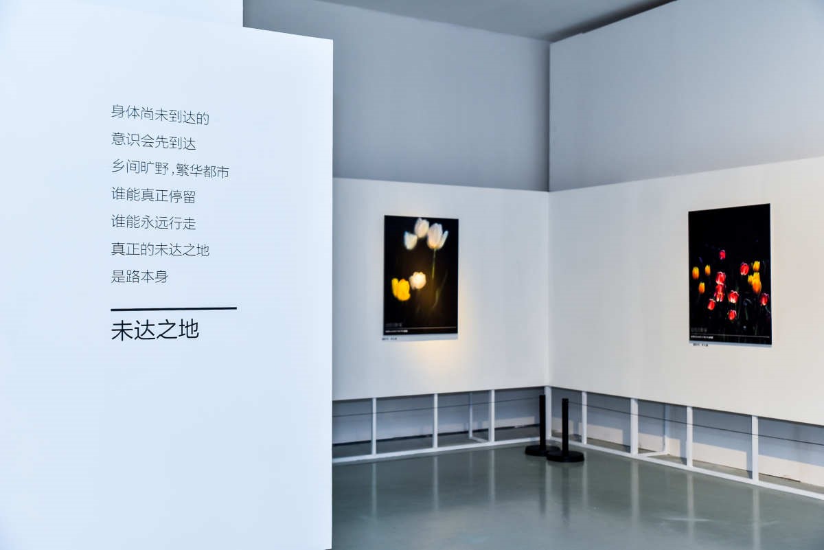 华为p40系列超感知影像艺术展亮相北京今日美术馆