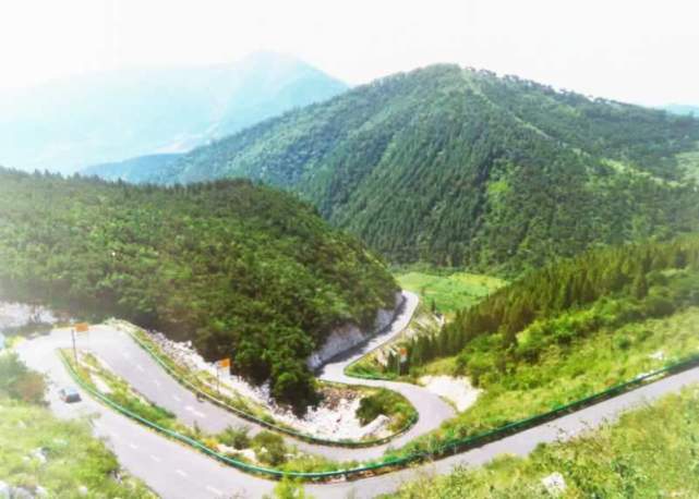 景区 绿道 玫瑰 网红 黄帝 景观 生态 森林 三里河 十大|迁安“十大网红打卡地”评选结果出炉