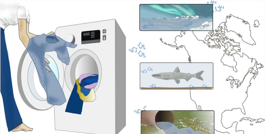 你洗牛仔裤掉的“色儿” 已经污染到北极海洋了