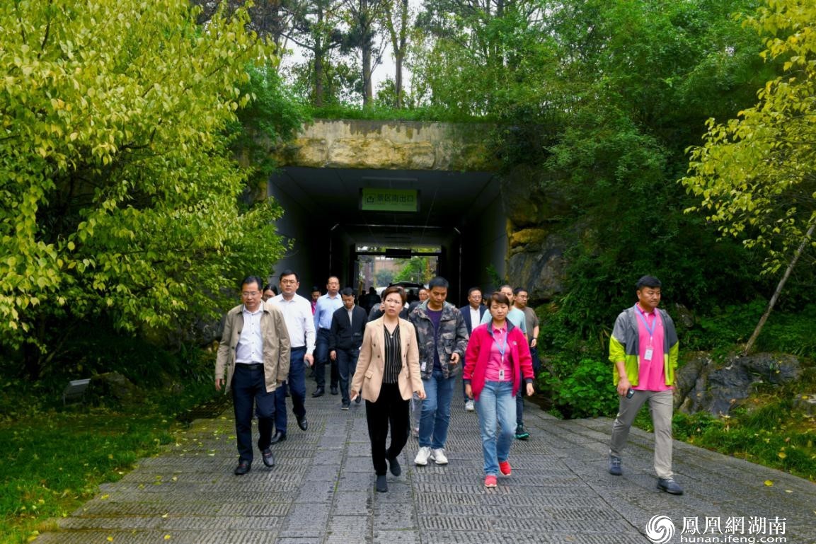 桃花源 伍彩霞 亮点 临战状态 指挥部 难点 桃花山 小镇|再动员 再鼓劲 桃花源旅游管理区“创5A”进入临战状态