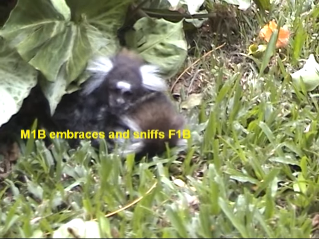 没有人应该孤独地死去但疫情期间有许多这样的悲剧