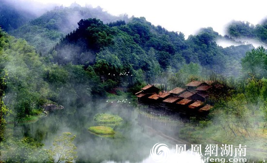 桃花源 烟雨 桃花源记 人间仙境 仙境 江南 游客 秦溪 实景 桃林|烟雨桃花源，仙境在人间