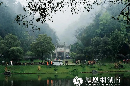 桃花源 烟雨 桃花源记 人间仙境 仙境 江南 游客 秦溪 实景 桃林|烟雨桃花源，仙境在人间