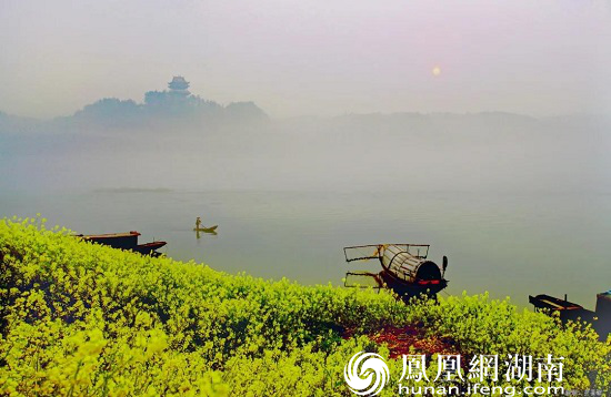 桃花源 烟雨 桃花源记 人间仙境 仙境 江南 游客 秦溪 实景 桃林|烟雨桃花源，仙境在人间