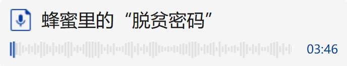 蜂蜜 吉林省 解说 靖宇县 大北 山村 白山市 椴树蜜 同期 密码|蜂蜜里的“脱贫密码”