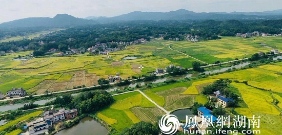 湖南首家乡镇乡贤联合会在湘乡市白田镇成立