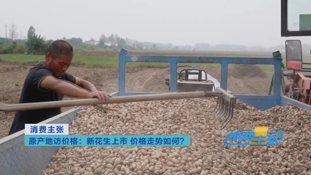 提前抢疯了？一度涨到6元/斤！“花生”了啥？