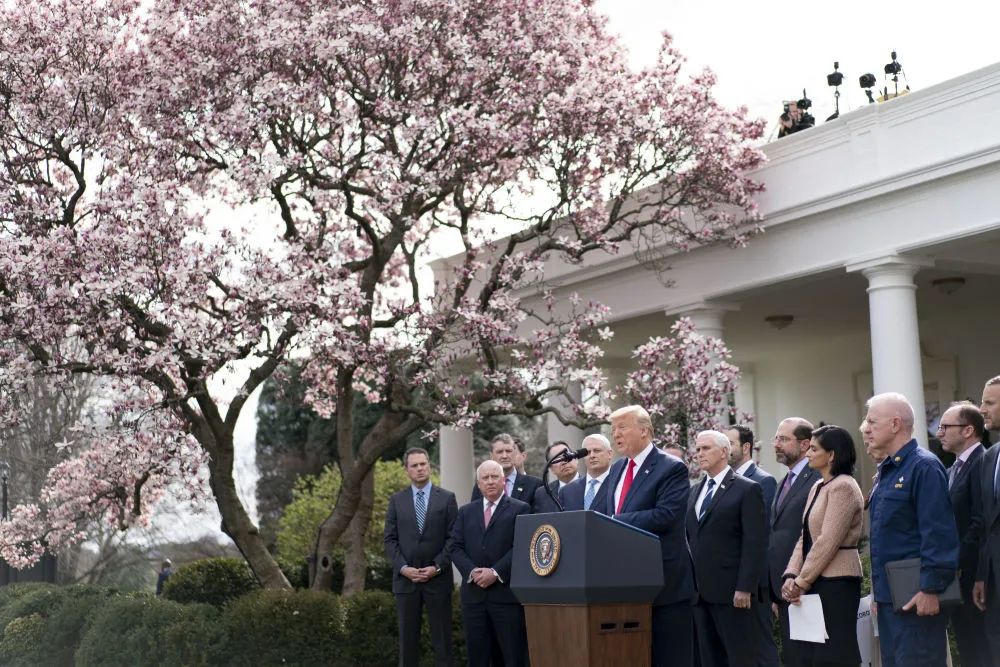 特朗普终于有了他想要的团队,但却是个“二把刀”