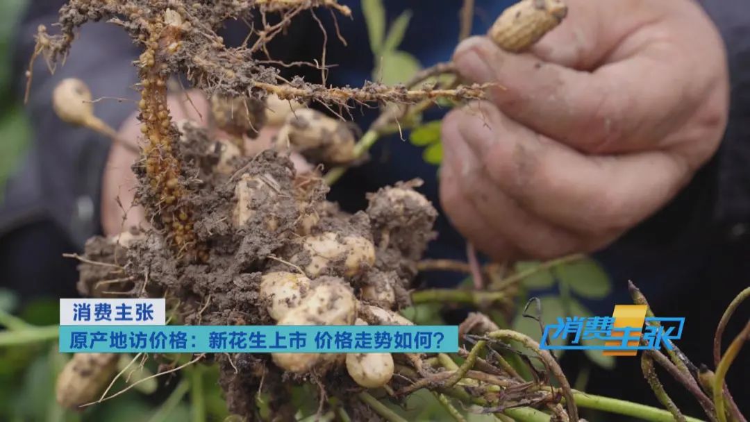 提前抢疯了？一度涨到6元/斤！“花生”了啥？