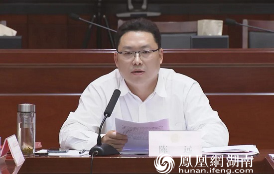 鼎城区委副书记,区人民政府代区长陈远发表讲话