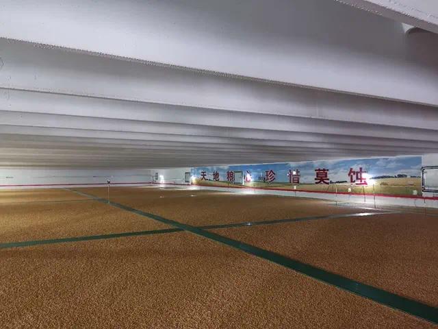 保障粮食安全,离不开大国粮仓的科技范