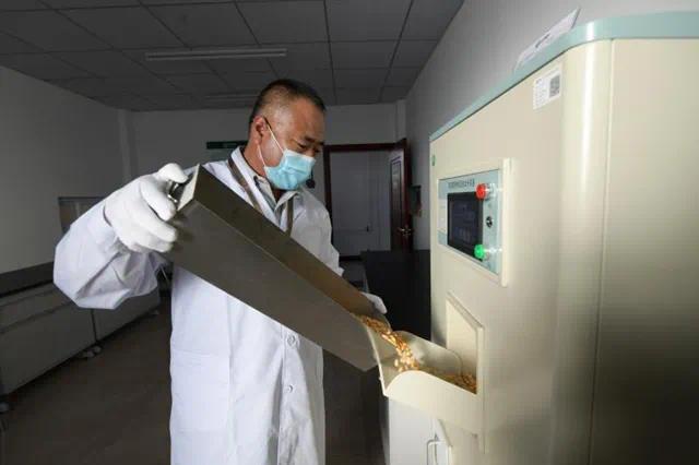 保障粮食安全,离不开大国粮仓的科技范