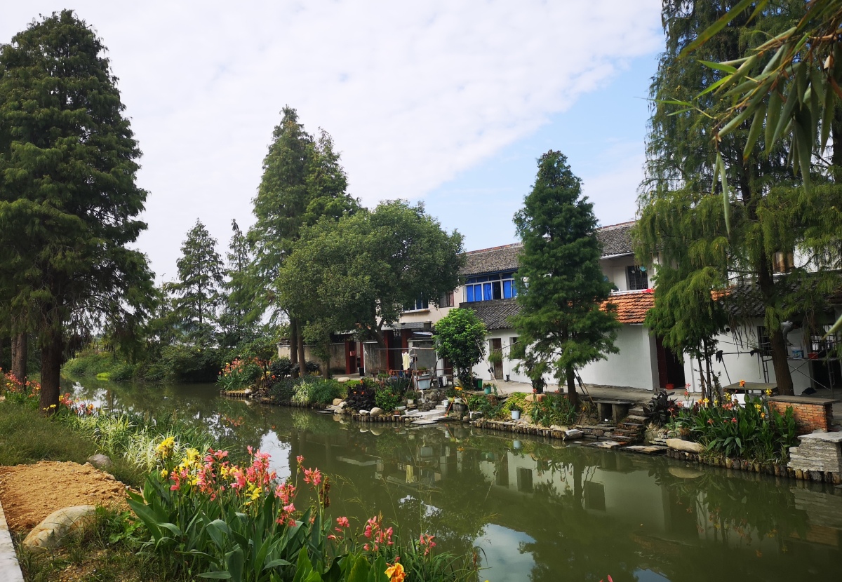 稻香鄞南,未来社区 鄞州姜山描绘美丽乡村风景线