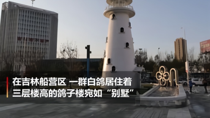 吉林三层楼高鸽子楼宛如"别墅"_凤凰网视频_凤凰网