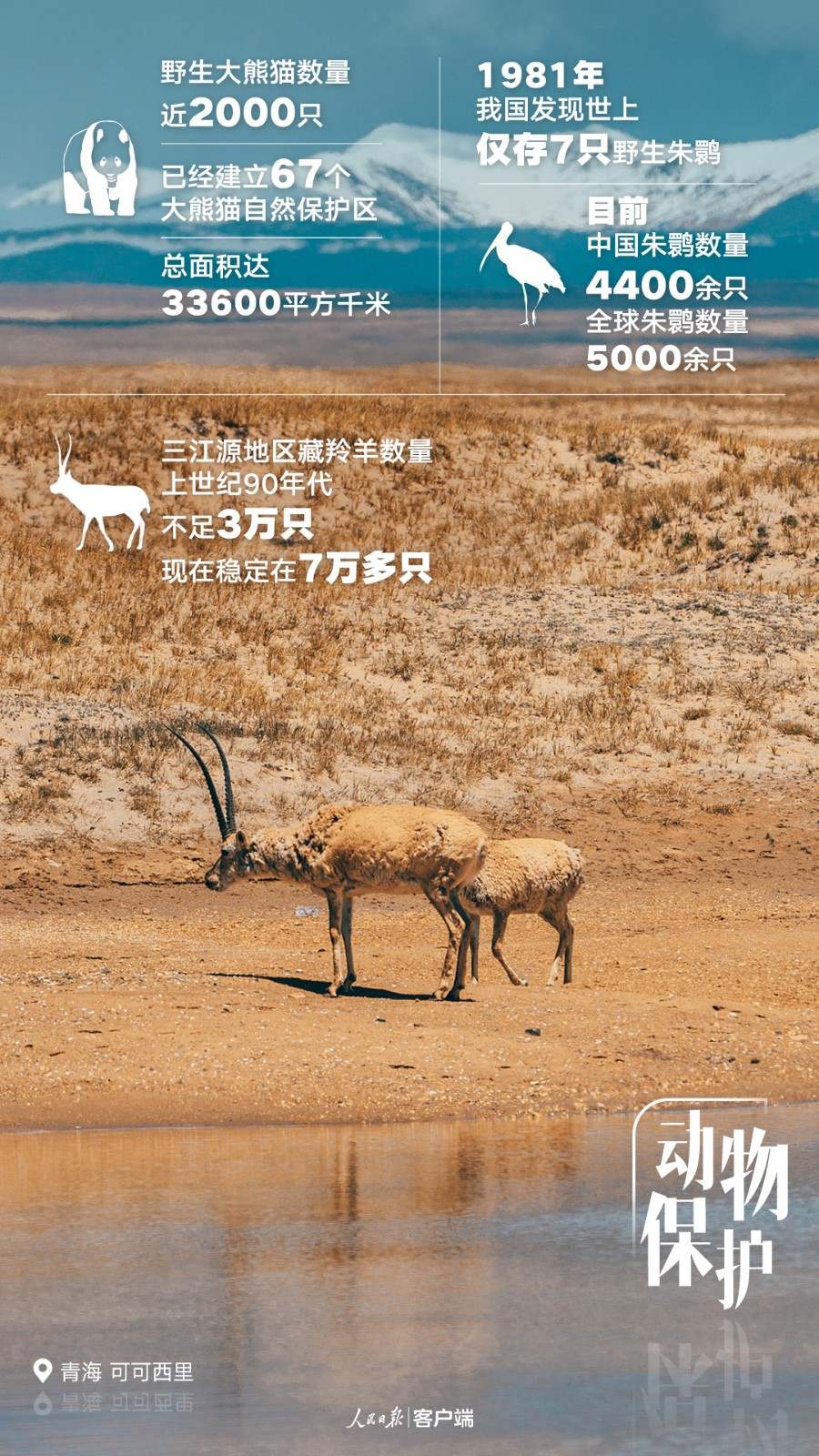 这五年，中国更美丽