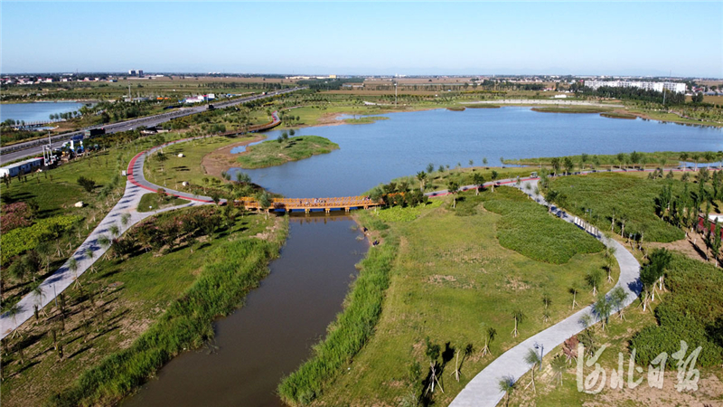 河北宁晋：改善生态环境 提升城市品位（最新发布）