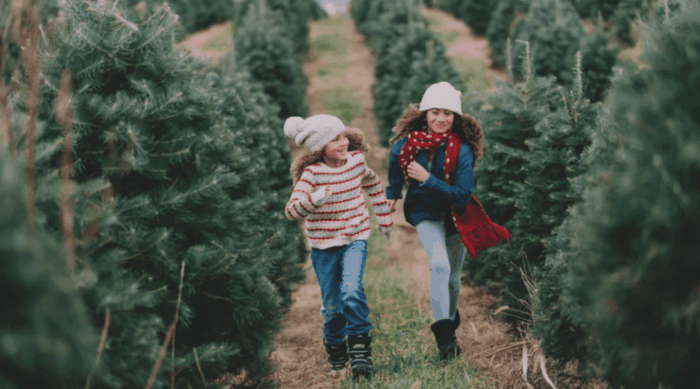 浅谈ps2021的黑科技史上最接地气的photoshop