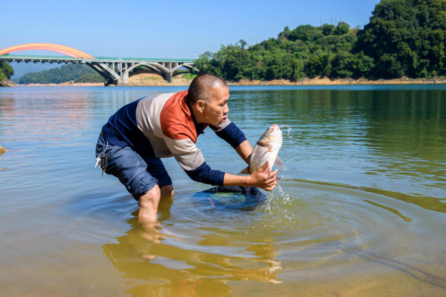 广州流溪河水库探索生态净水渔业新路径水质长年保持ii类以上