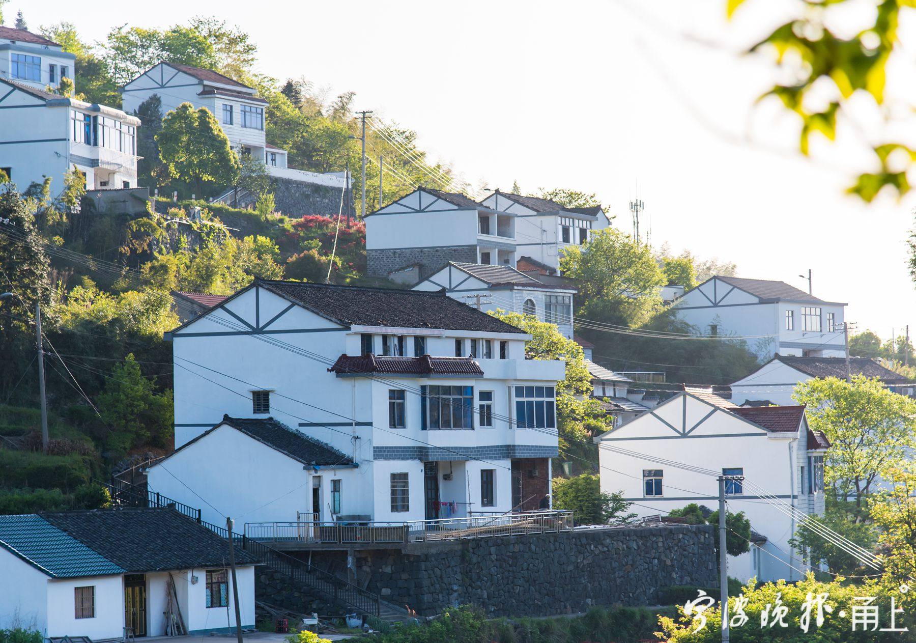 "串珠成链"秀风景,余姚鹿亭乡12个村都是省级景区村庄