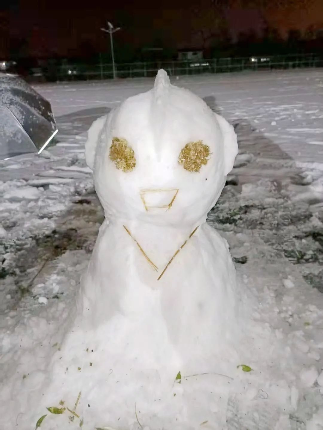 一场雪后高校现最大名场面