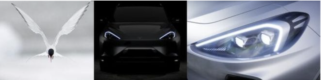 ARCFOX αT:美学无界,传奇破界凤凰网山东(最新发布)