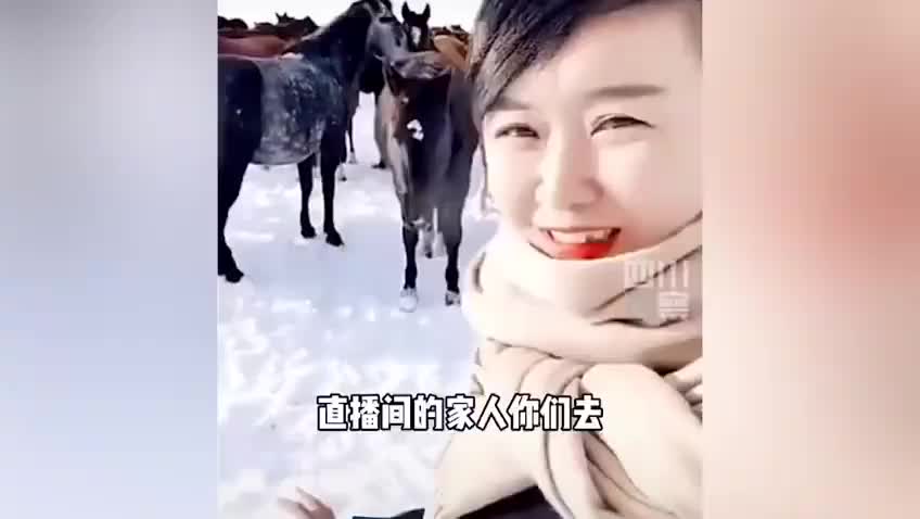 新疆走红女副县长贺娇龙欢迎丁真来昭苏挑马