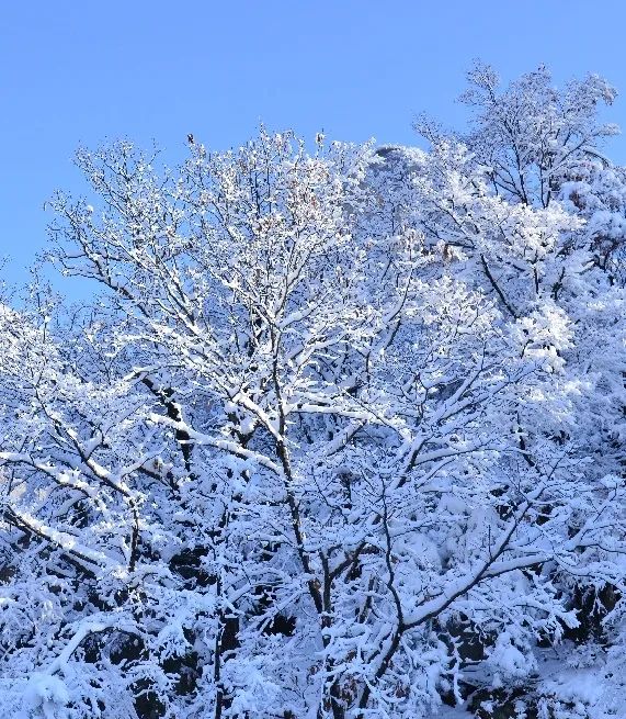 雪光绝胜水银银 天河大峡谷满足你对冬天的所有幻想!