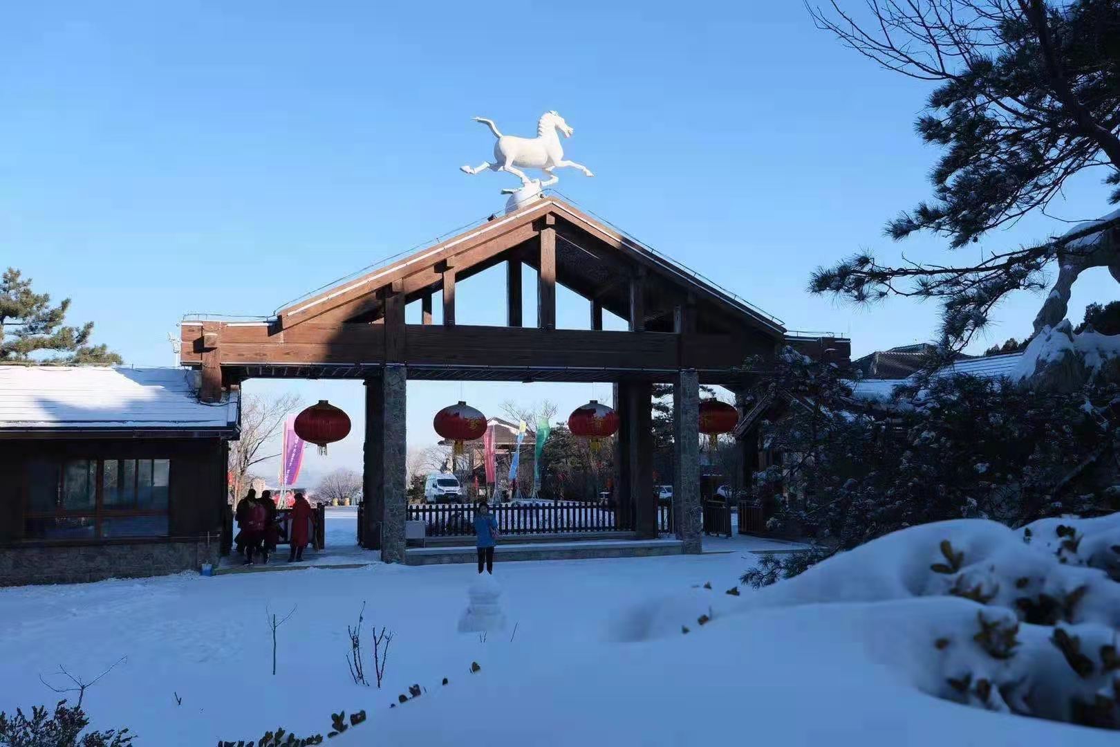 山东首家雪乡主题度假区"跑马岭·齐鲁雪乡"正式开业