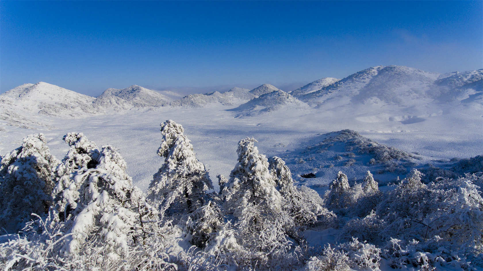 图集丨重庆巫溪红池坝南国第一雪原美如童话