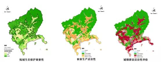 深圳市深汕特别合作区:面向实践与实施的"伴随式"规划