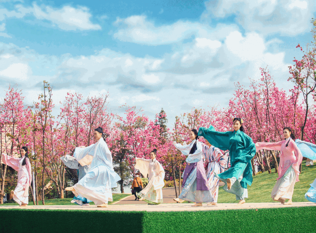 花朝节(樱花节)现场
